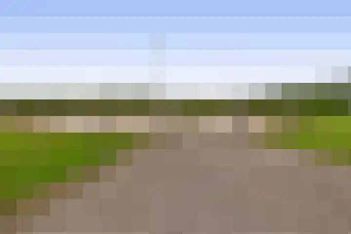Kuilerstraat 16 Someren thumbnail 37