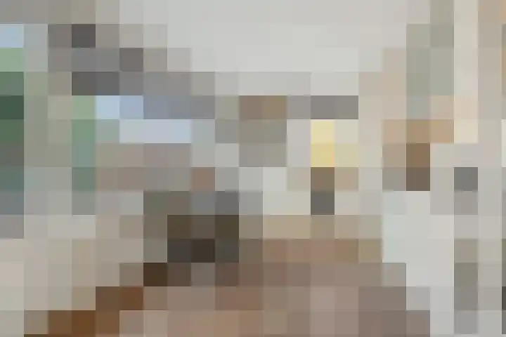 Kuilheuvel 9 Deurne thumbnail 15