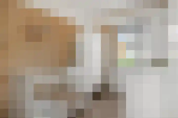 Kuilheuvel 9 Deurne thumbnail 22