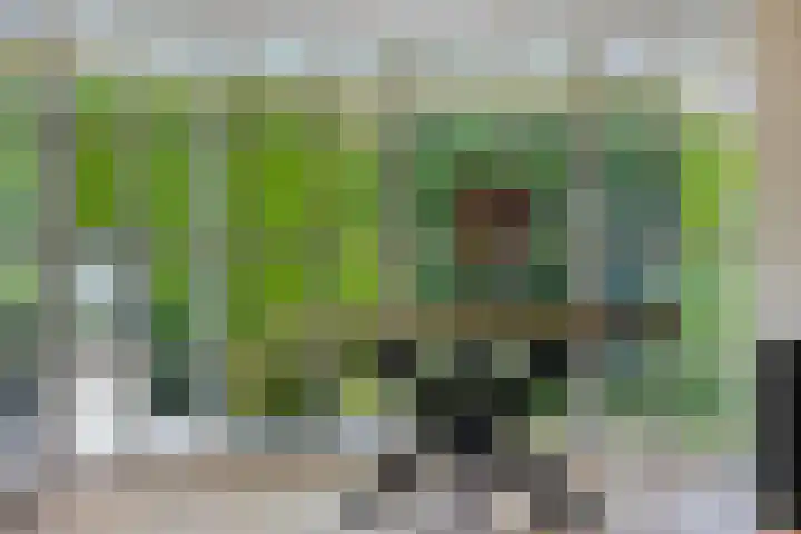 Kuiltjeshei 12 Best thumbnail 21