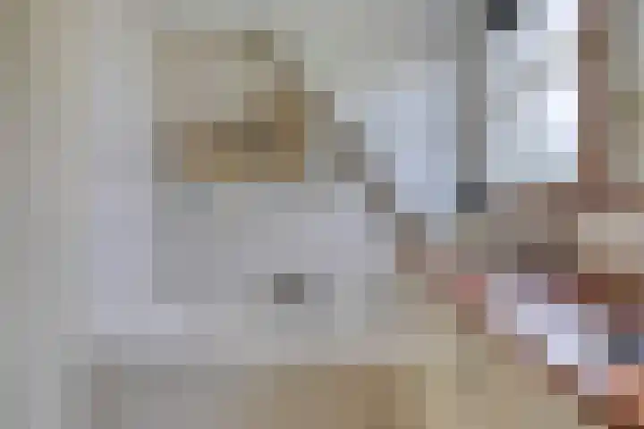 Kuiltjeshei 12 Best thumbnail 34