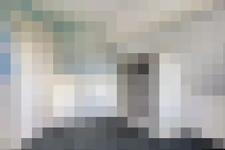 Kuiltjeshei 12 Best thumbnail 37