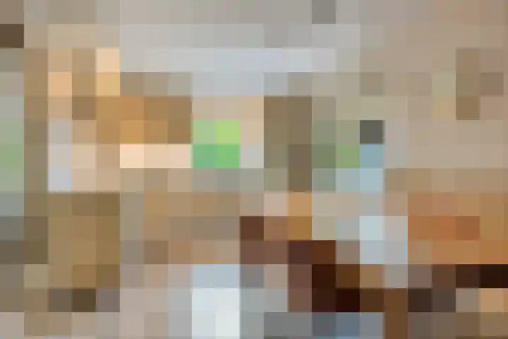 Kuiltjeshei 12 Best thumbnail 4