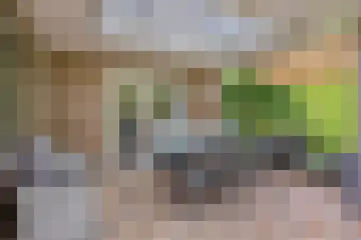 Kuiltjeshei 12 Best thumbnail 42