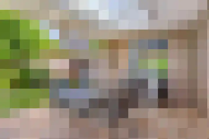 Kuiltjeshei 12 Best thumbnail 43
