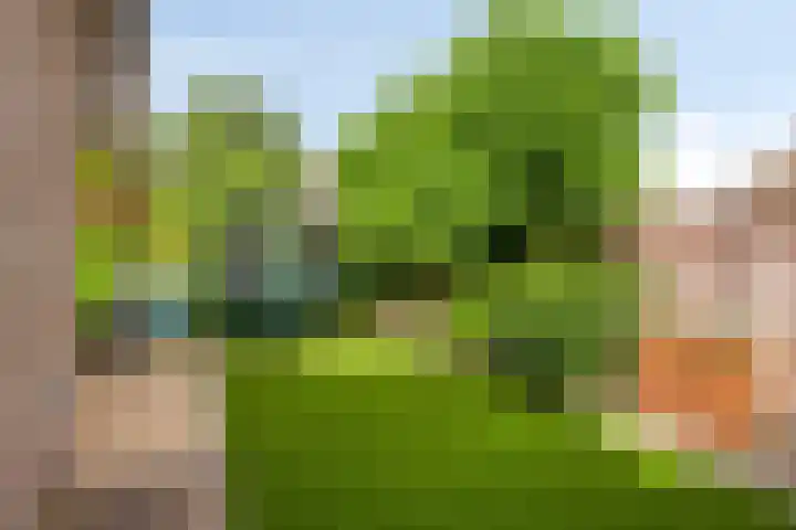 Kuiltjeshei 12 Best thumbnail 44
