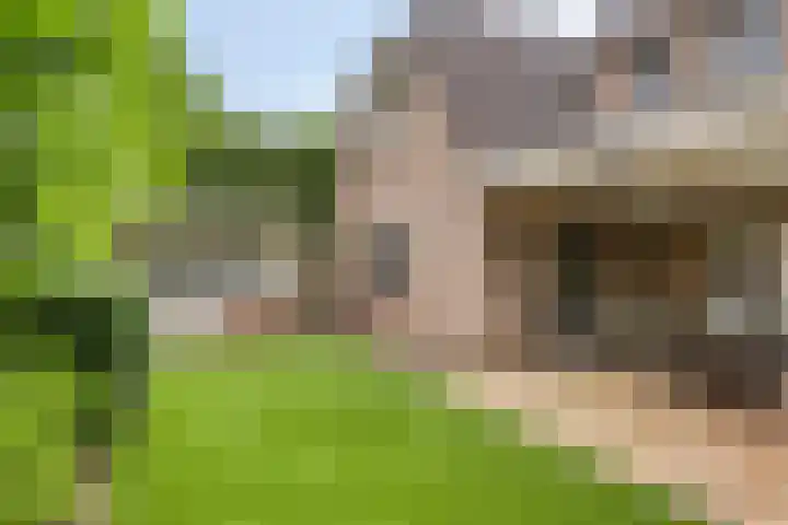 Kuiltjeshei 12 Best thumbnail 46