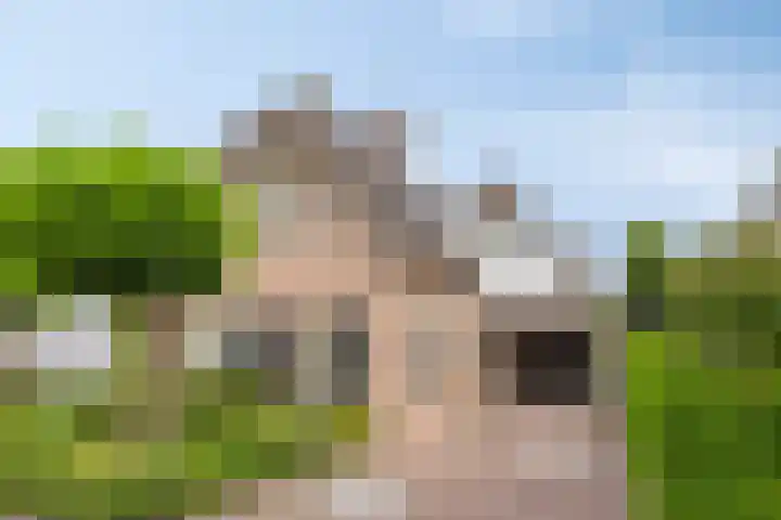 Kuiltjeshei 12 Best thumbnail 51