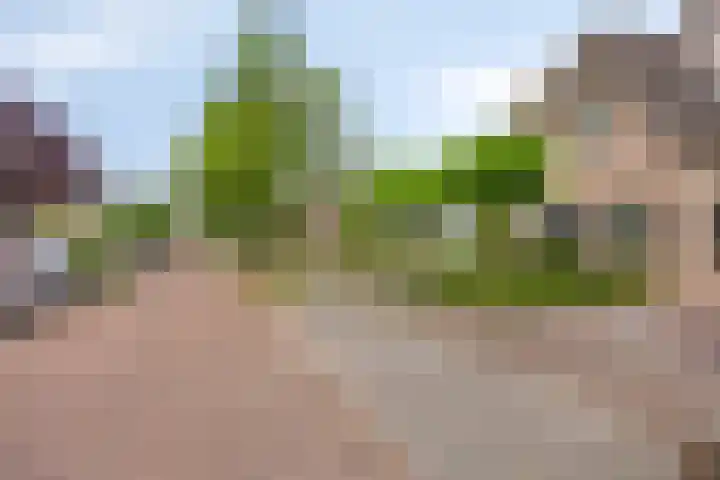 Kuiltjeshei 12 Best thumbnail 52