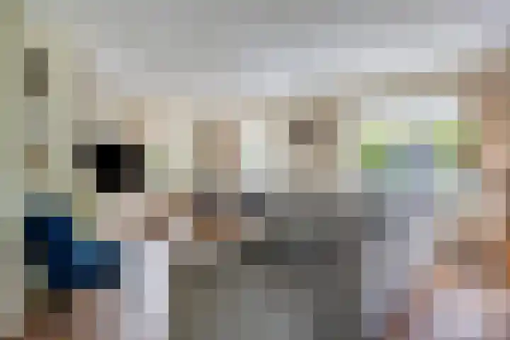 Kuiltjeshei 12 Best thumbnail 9