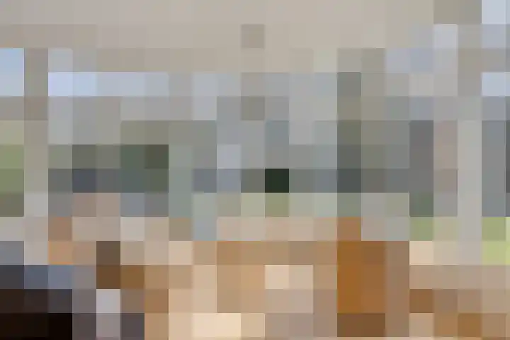 Kuiltjeshei 71 Best thumbnail 27