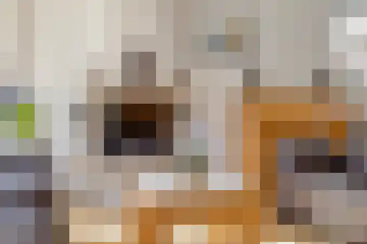 Kuiltjeshei 71 Best thumbnail 30