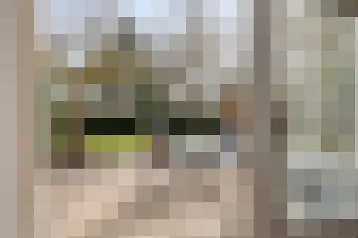 Kuiltjeshei 71 Best thumbnail 36