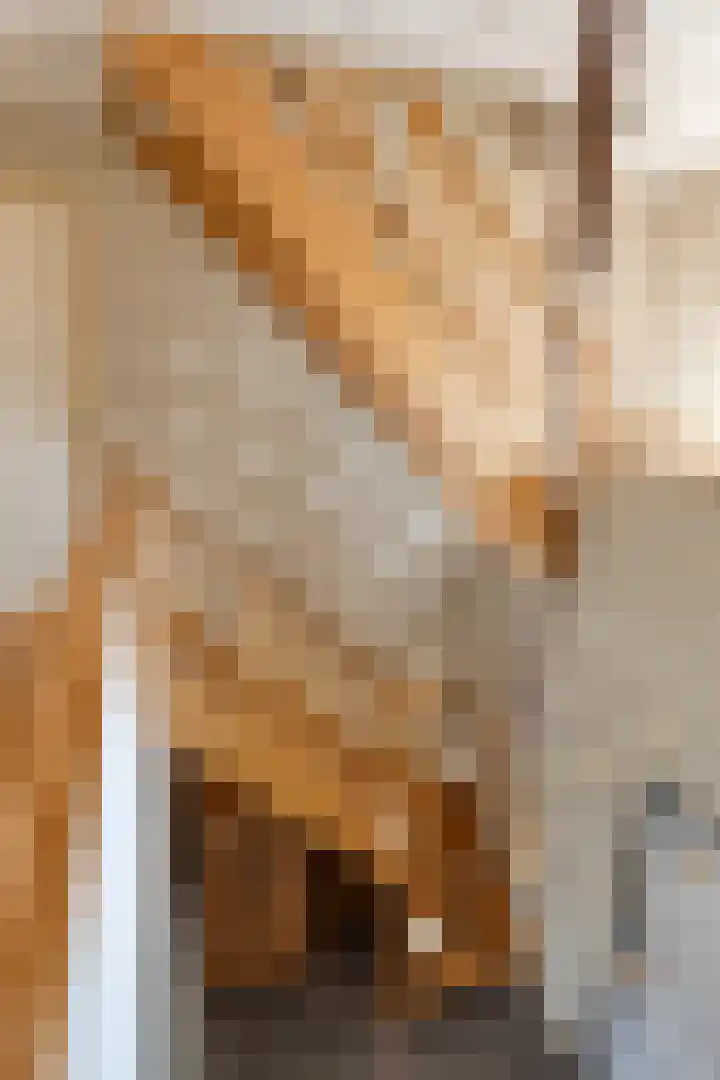 Kuiltjeshei 71 Best thumbnail 44