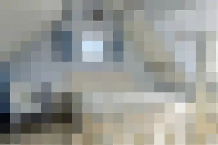 Kuiltjeshei 71 Best thumbnail 60