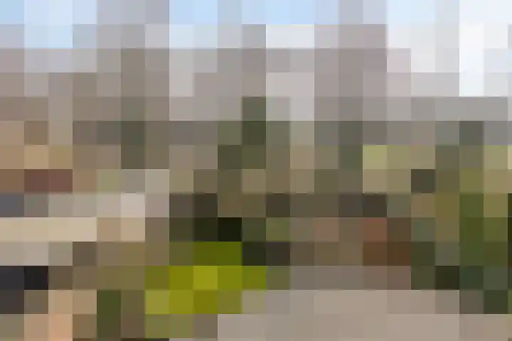 Kuiltjeshei 71 Best thumbnail 66