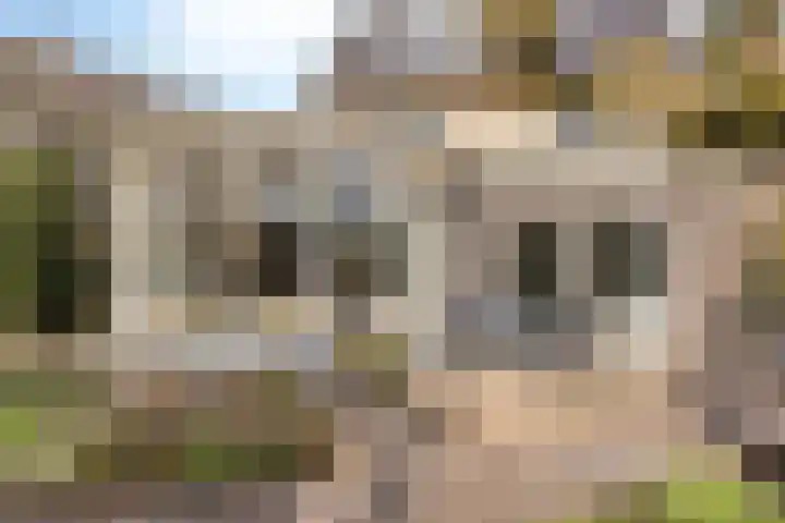 Kuiltjeshei 71 Best thumbnail 67
