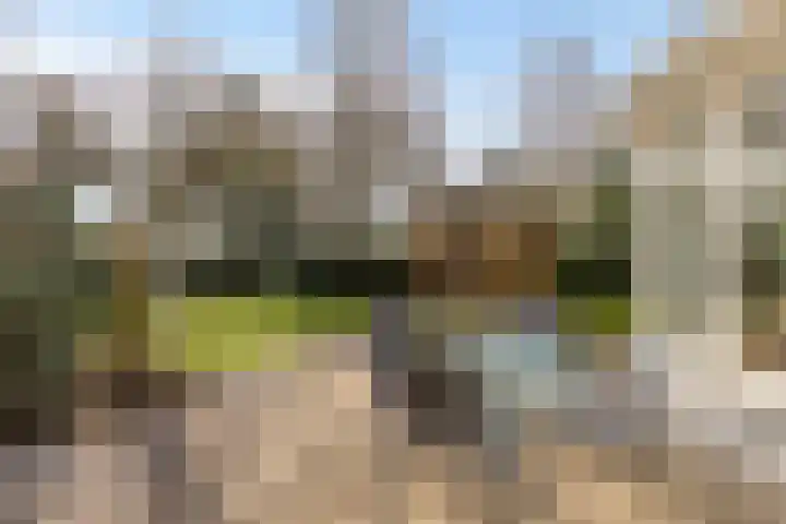 Kuiltjeshei 71 Best thumbnail 68