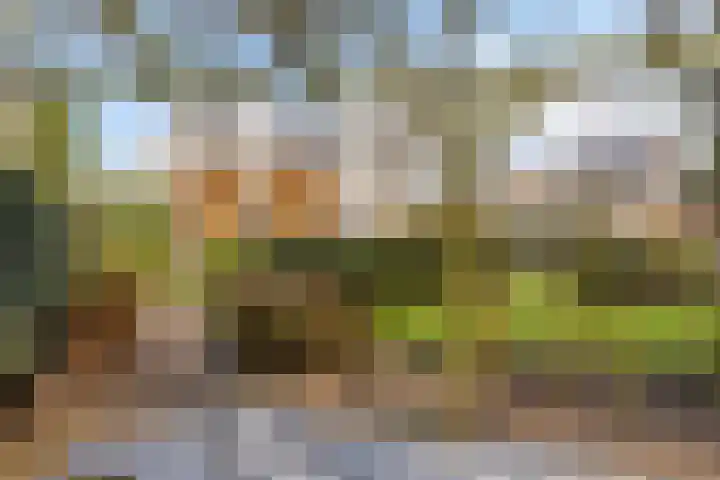 Kuiltjeshei 71 Best thumbnail 72