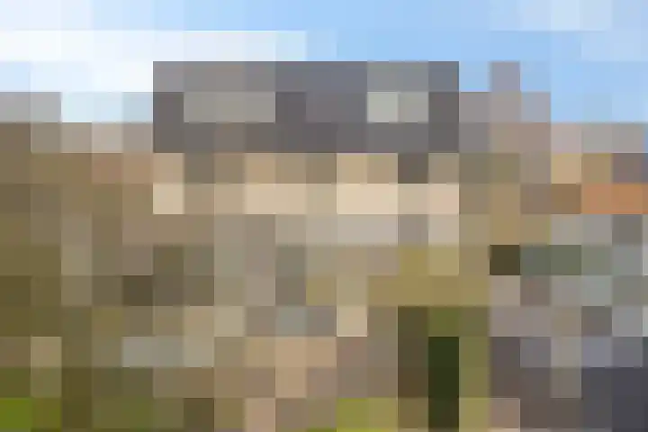 Kuiltjeshei 71 Best thumbnail 74