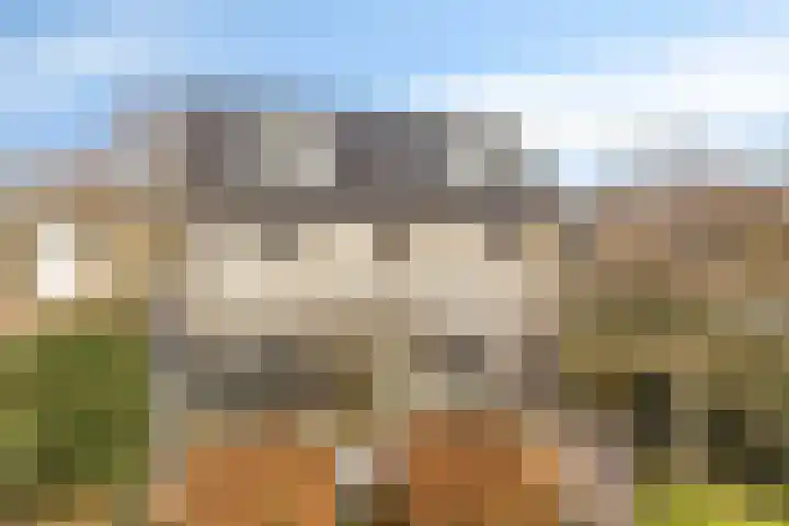Kuiltjeshei 71 Best thumbnail 75