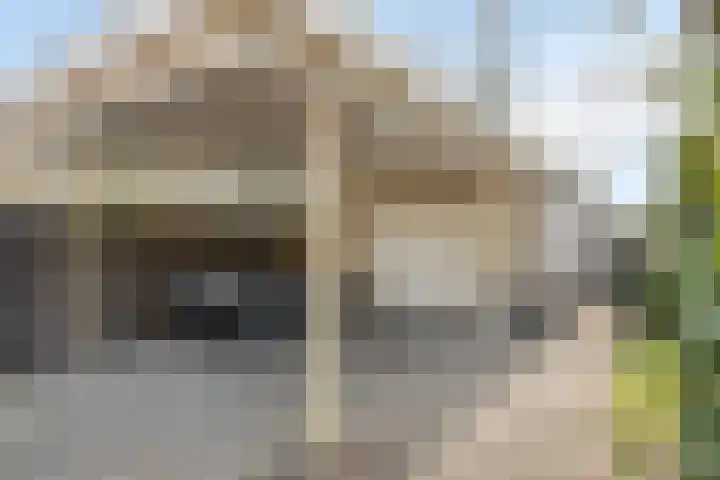 Kuiltjeshei 71 Best thumbnail 78