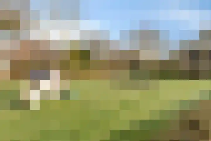 Kuiltjeshei 71 Best thumbnail 81