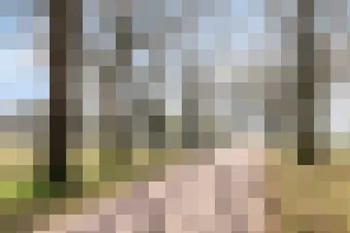 Kuiltjeshei 71 Best thumbnail 83