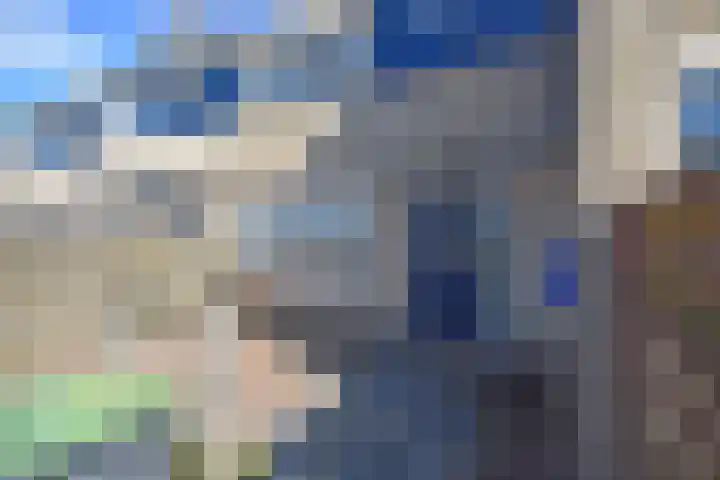 Kuinder 62 Drachten foto 3