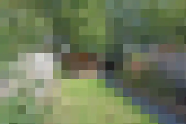 Kuinder 62 Drachten thumbnail 6