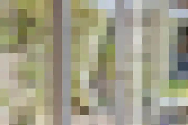 Kuiperijstraat 3 Rossum thumbnail 10
