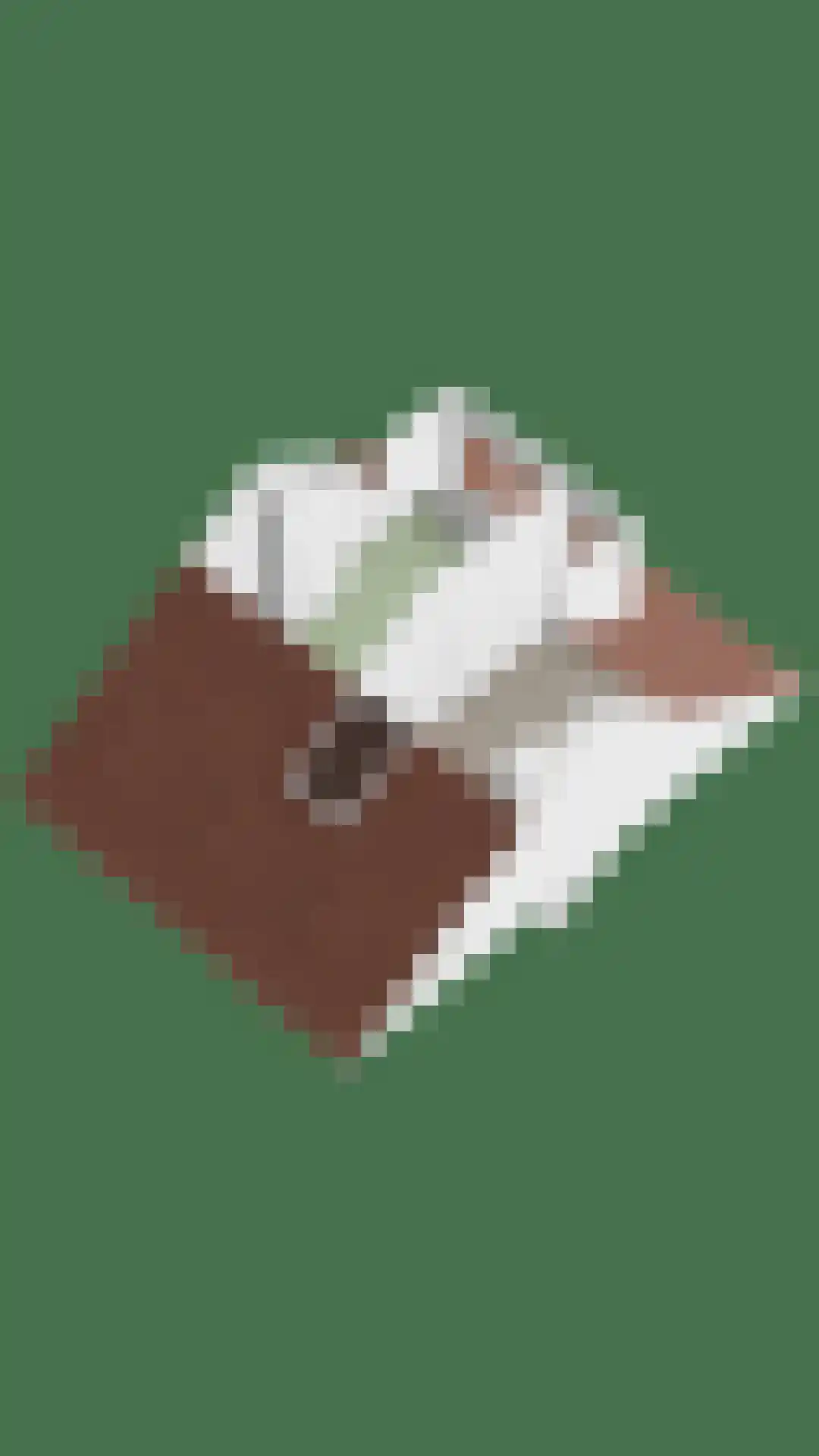 Kuipersdijk 213 Enschede thumbnail 39