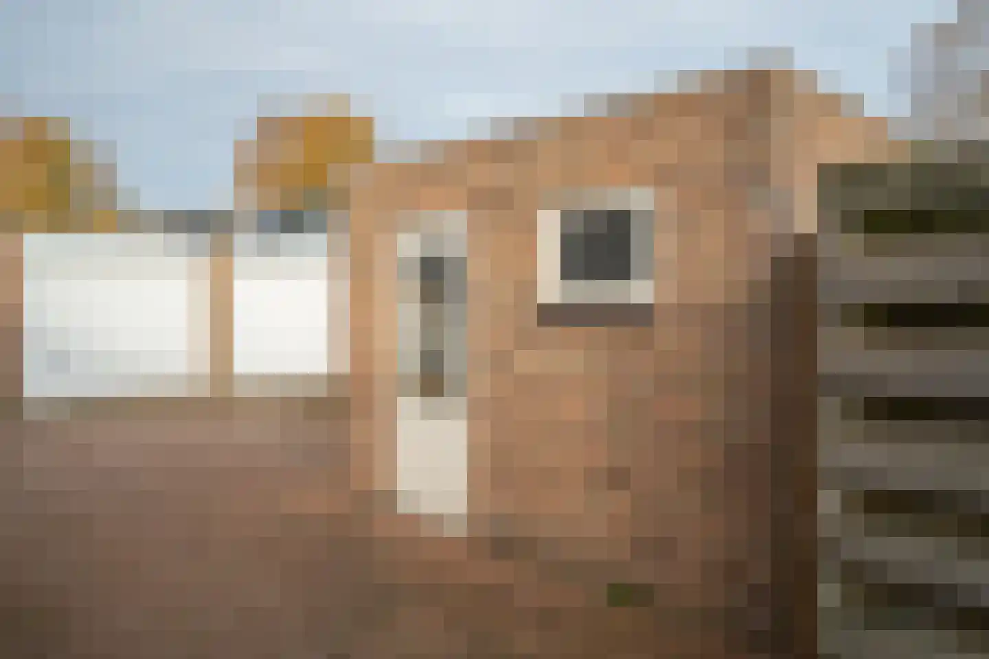 Kuipersdijk 388 Enschede thumbnail 30