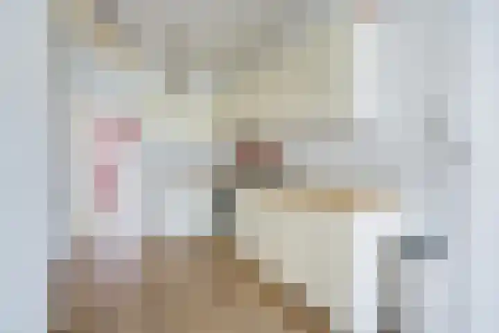 Kuiperserf 12 Ter Aar