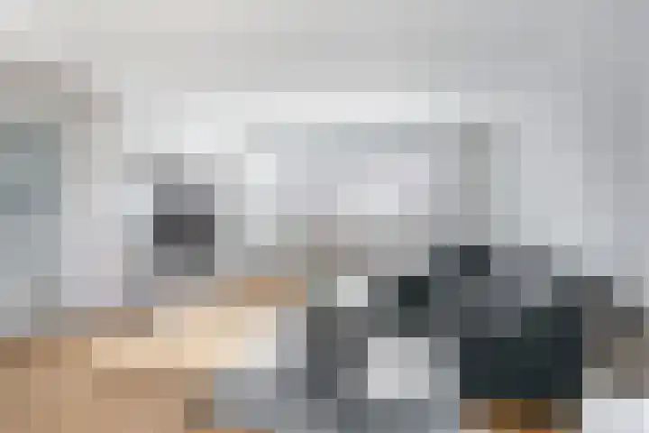 Kuiperserf 12 Ter Aar thumbnail 10