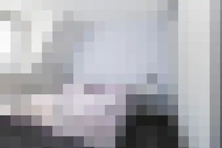 Kuiperserf 12 Ter Aar thumbnail 16
