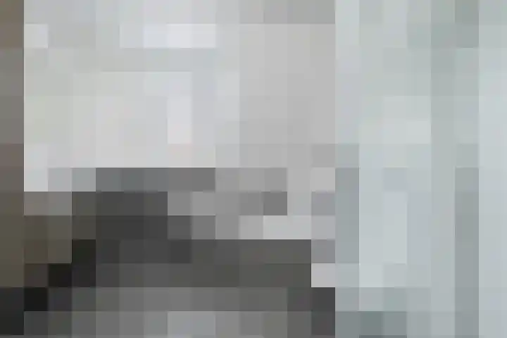 Kuiperserf 12 Ter Aar thumbnail 17