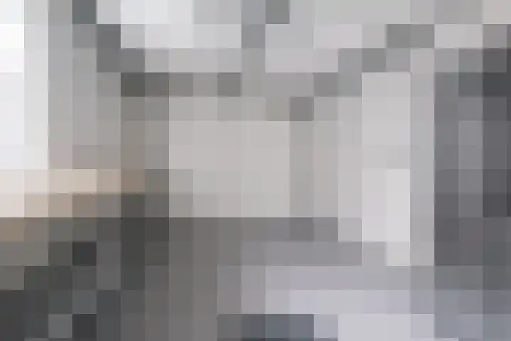 Kuiperserf 12 Ter Aar thumbnail 30