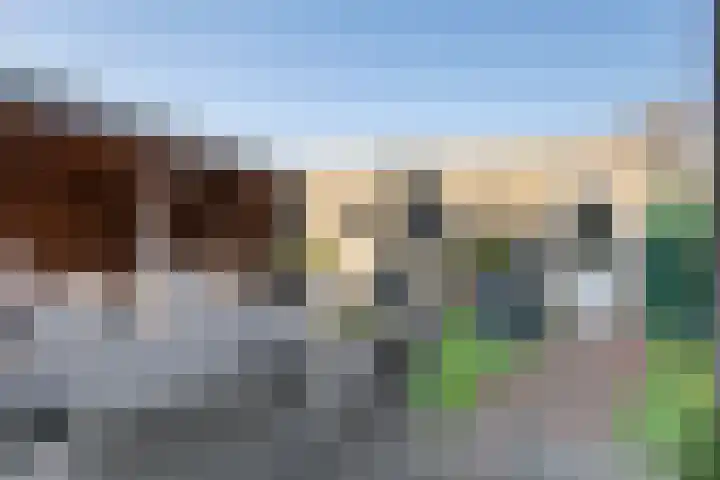 Kuiperserf 12 Ter Aar thumbnail 33