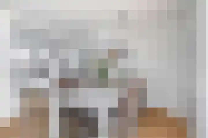 Kuiperserf 12 Ter Aar thumbnail 8
