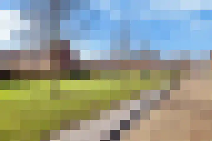 Kuiperssingel 32 Drachten thumbnail 38