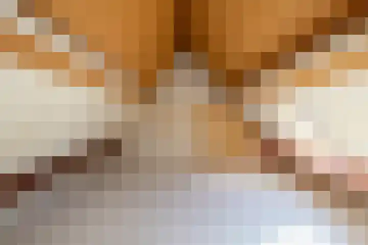 Kuiperstraat 13 Den Helder thumbnail 25