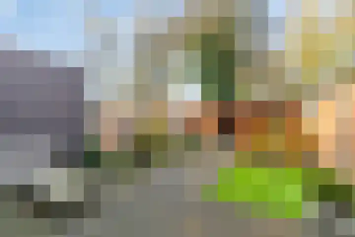 Kuiperstraat 60 Duiven thumbnail 24