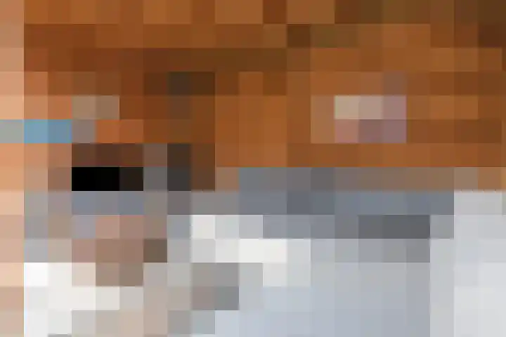Kuiperstraat 60 Duiven thumbnail 29