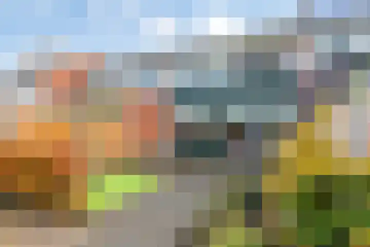 Kuiperstraat 60 Duiven thumbnail 30
