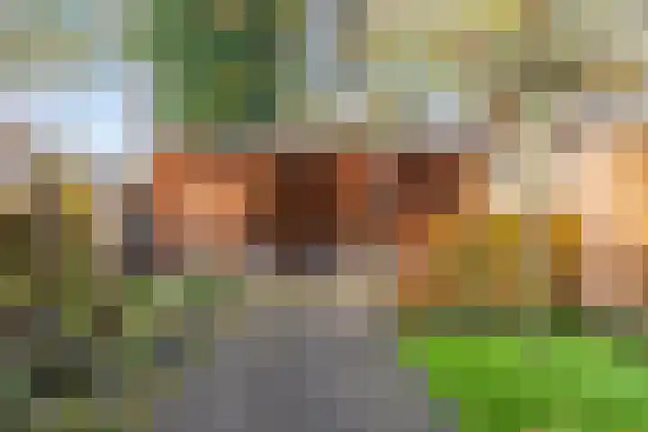 Kuiperstraat 60 Duiven thumbnail 4