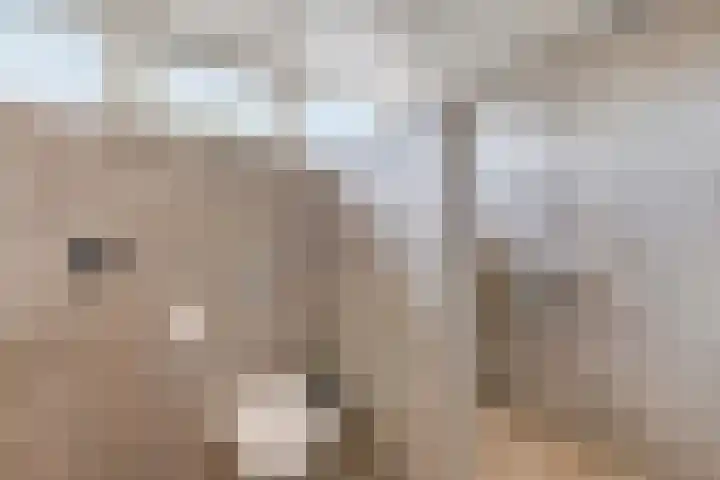 Kuiperstraat 60 Duiven thumbnail 40