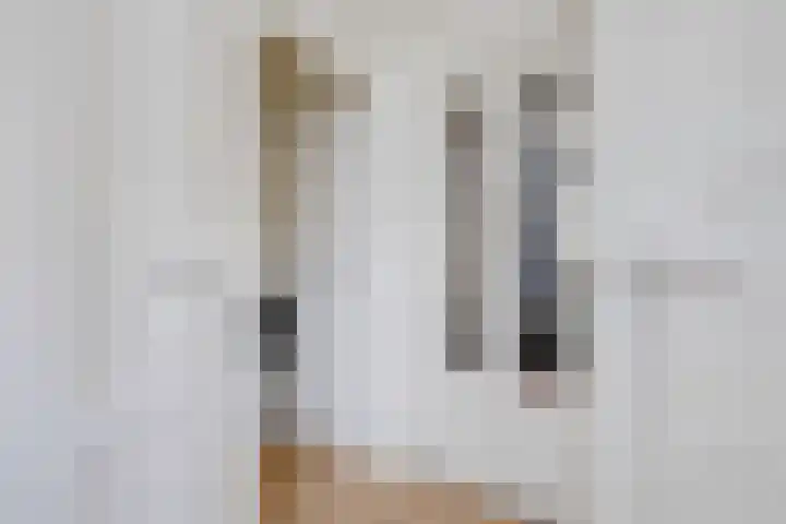 Kuiperstraat 60 Duiven thumbnail 8