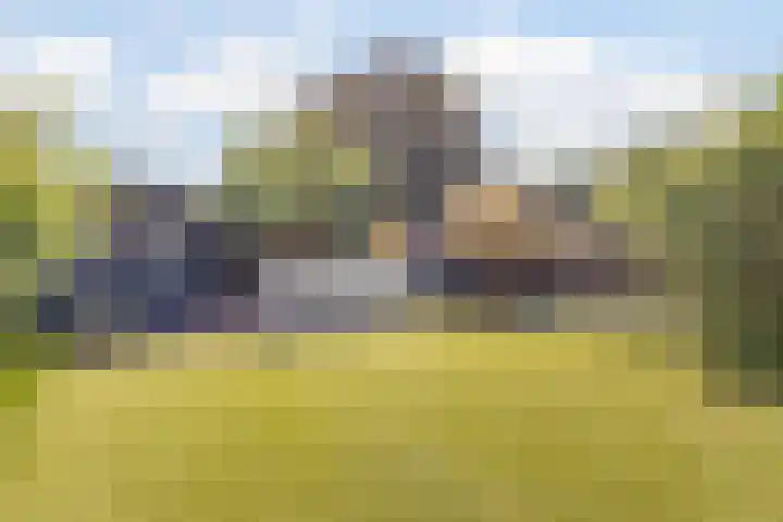 Kuiperstraat 7 Beugen thumbnail 36