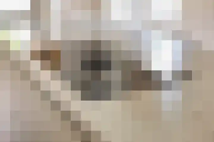 Küllerlaan 26 Soesterberg thumbnail 16